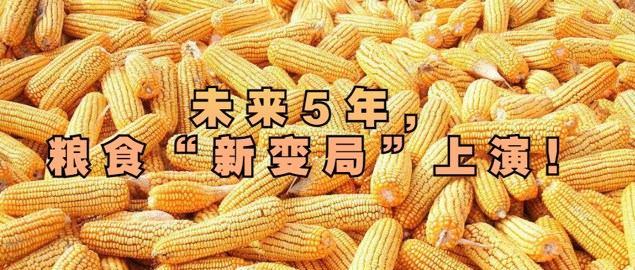 未來5年，糧食“新變局”上演！